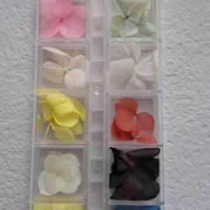 Set de naturaleza muerta, 12 flores